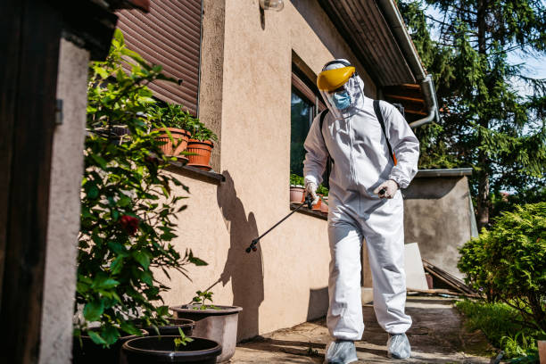 Best Mosquito Control Services  in Otterbe, IN