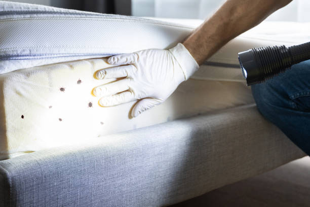 Best Commercial Pest Control Services  in Otterbe, IN