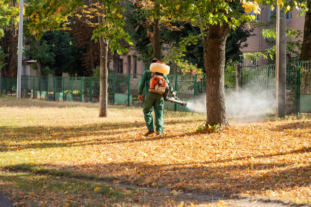 Best Affordable Pest Control Services  in Otterbe, IN